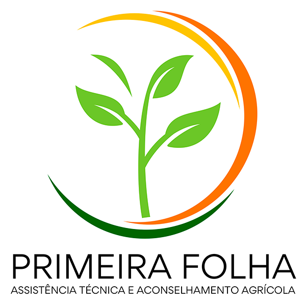 Primeira Folha